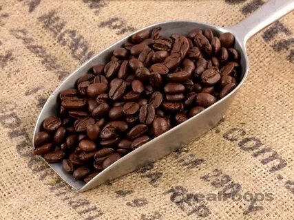 Coffee came