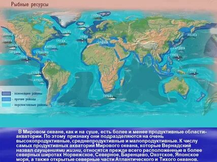 Рыбные ресурсы основные районы распространения