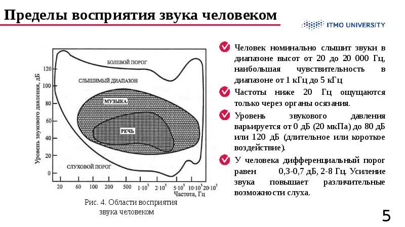 Физиологические границы восприятия шума.. Область звукового и слухового восприятия. Диапазон восприятия звука. Границы области слухового восприятия звука.. В каком звуковом диапазоне слышит человек