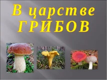 Царство грибы презентация 3 класс окружающий