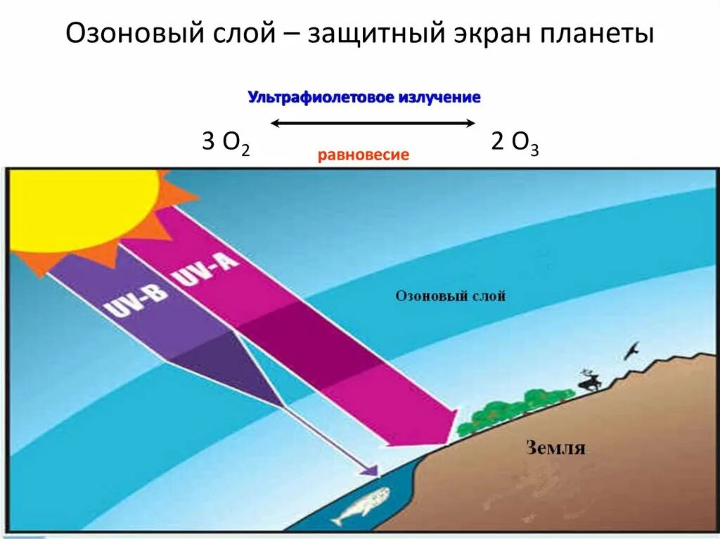 Виды озонового слоя