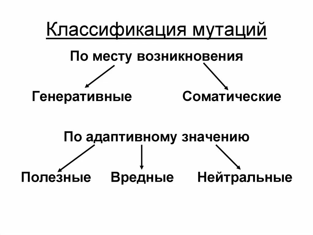 Появление мутаций при половом размножении. Классификация мутаций по месту возникновения. Генеративные мутации классификация. Соматические и генеративные мутации схемы. )Классификация мутаций по месту возникновения схема.