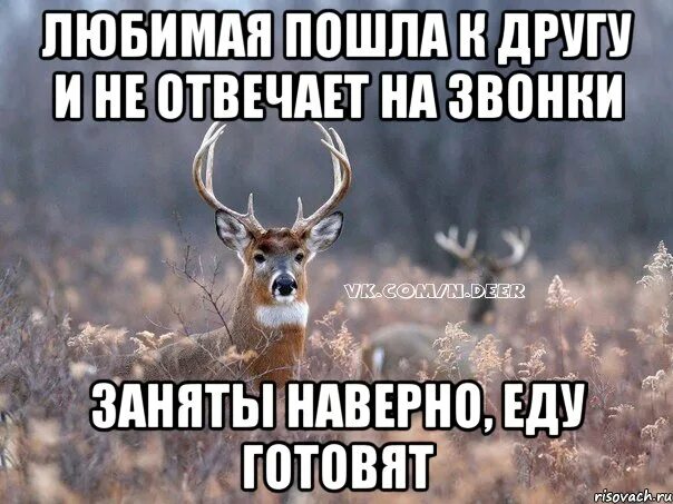 Наверно или наверное. Наверно и наверное. Наверное или наверно правописание. Наверно картинка.