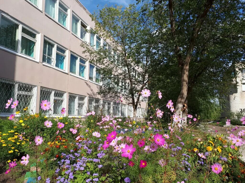 школа 8 краснокаменск