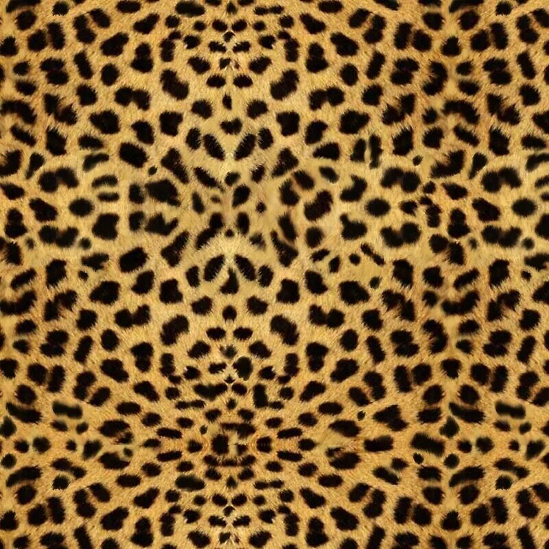 Яванский леопард. Леопардовая шкура. Леопардовый фон. Шкура леопарда. Пестрая шкура