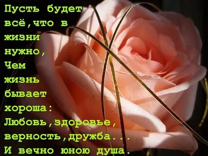 Я хочу чтоб в твоей жизни