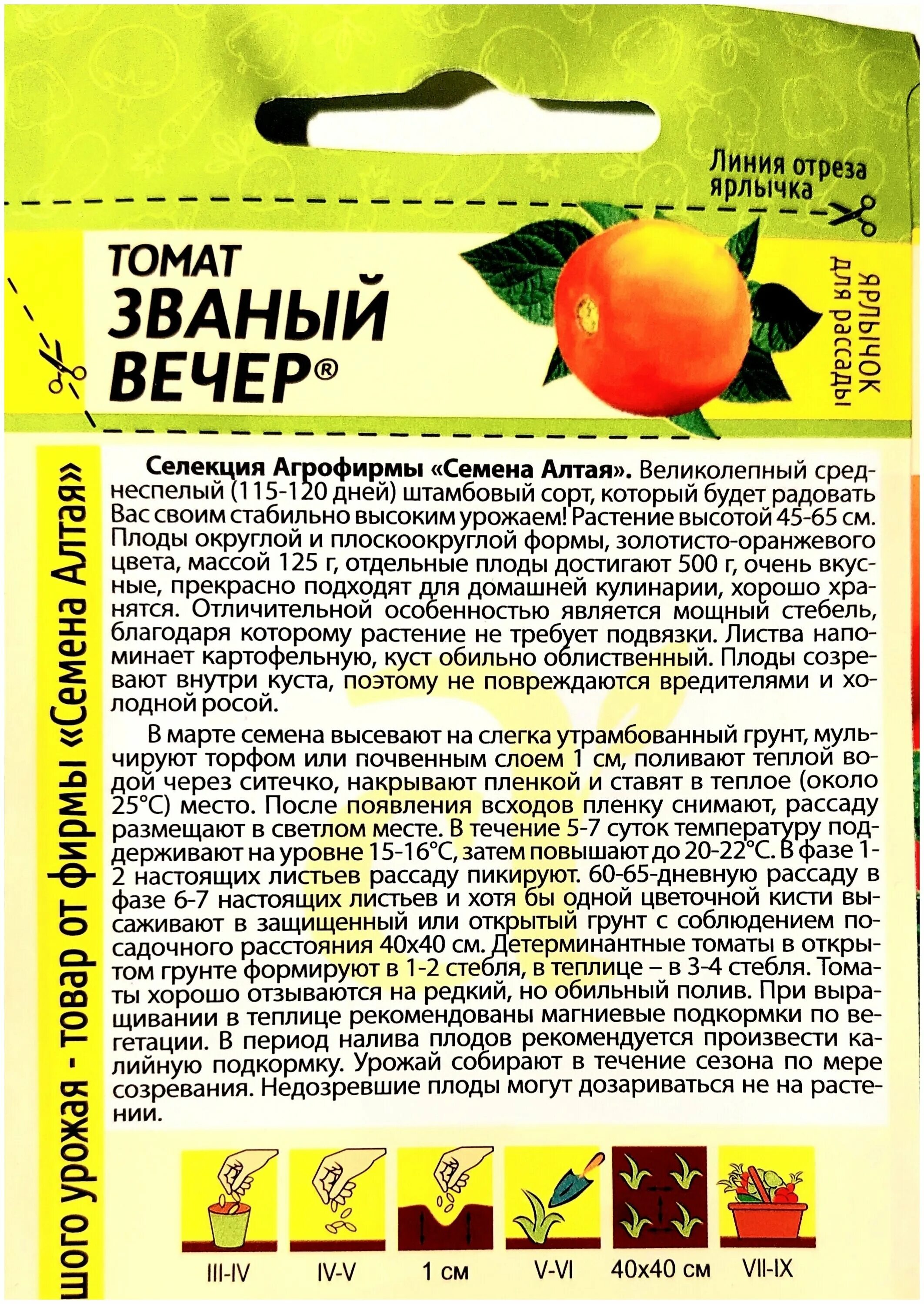 томат званый вечер характеристика отзывы. низкорослые сорта томатов семена алтая. томат званый вечер 0,05г желтый (о/г, до 500г). томат званый вечер 0,05г семена алтая. томат званый вечер характеристика отзывы.