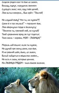 Лев стихи