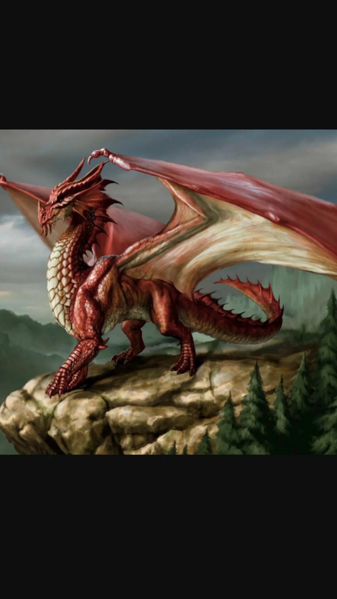 Рыцарь спасает дракона. Перуанский змеезуб дракон. Малефисента дракон мультфильм дисней. Принцесса и дракон. Рыцарь спасает принцессу от дракона.