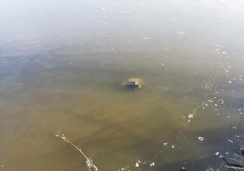 Река теша. Перспективные места ловли рыбы на реке. Ручей джалон. Небольшие речужкив россии. Места ловли на реке.