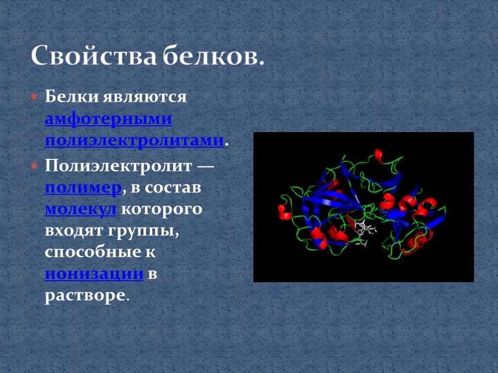 Многообразие белков. Белки являются полимерами. Белковая основа иммунитета. Проект на тему белки основа жизни. В состав молекул белков входят.