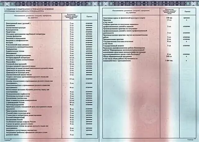 Пишут ли в дипломе