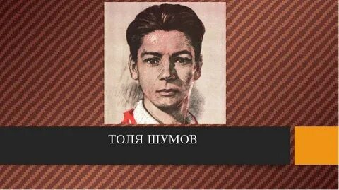 Толи шумова