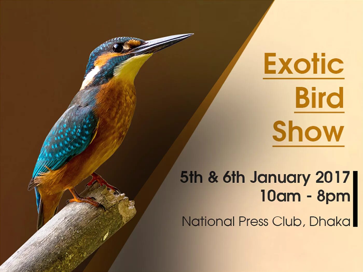 Dubai Bird show.