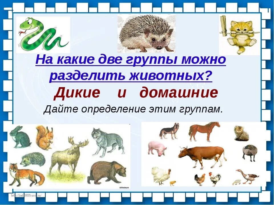 Мир животных 3 класс конспект. Группы животных домашние и Дикие. Классификация диких и домашних животных. Слайд Дикие и домашние животные. Две группы животных.