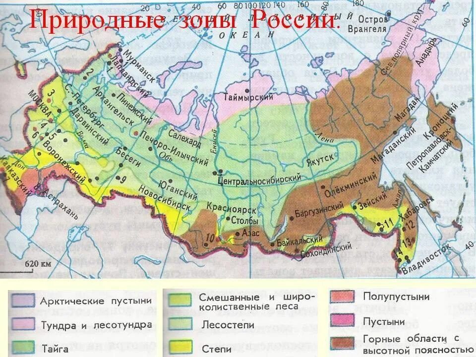 Степи пустыни субтропики