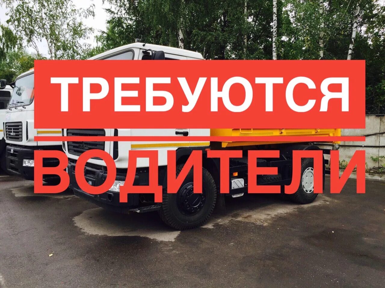 Водитель б с е. Требуется водитель. Требуется водитель категории с. Требуется водитель категории е. Требуется водитель кат с.