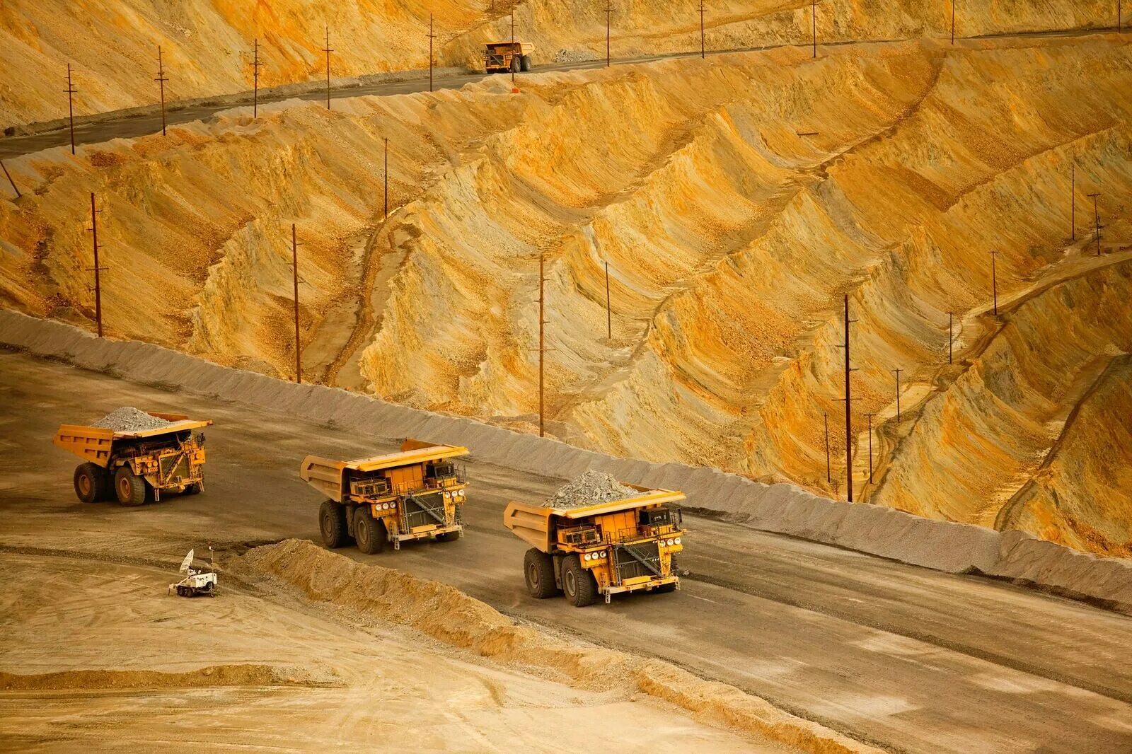 Tiger mining