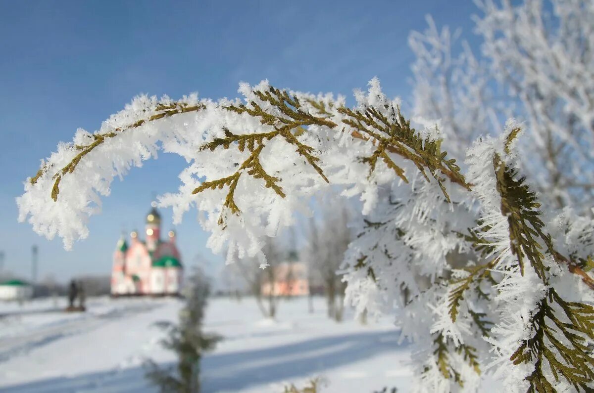 Г Курчатов Курская область зима. Зимний Курчатов. Курчатов зимой. Курская область зимой. Самоцветы снег