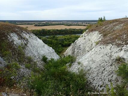 Рельеф белгородской