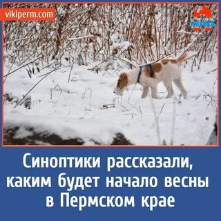 Когда потеплеет в пермском крае