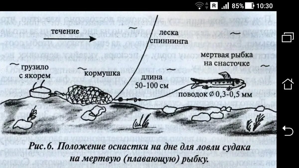 Как ловить на донную