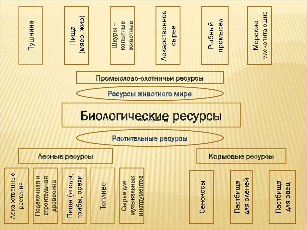 Приведите примеры биологических ресурсов. Классификация растительных ресурсов. классификация биологических ресурсов. биологические ресурсы схема. примеры растительных ресурсов.