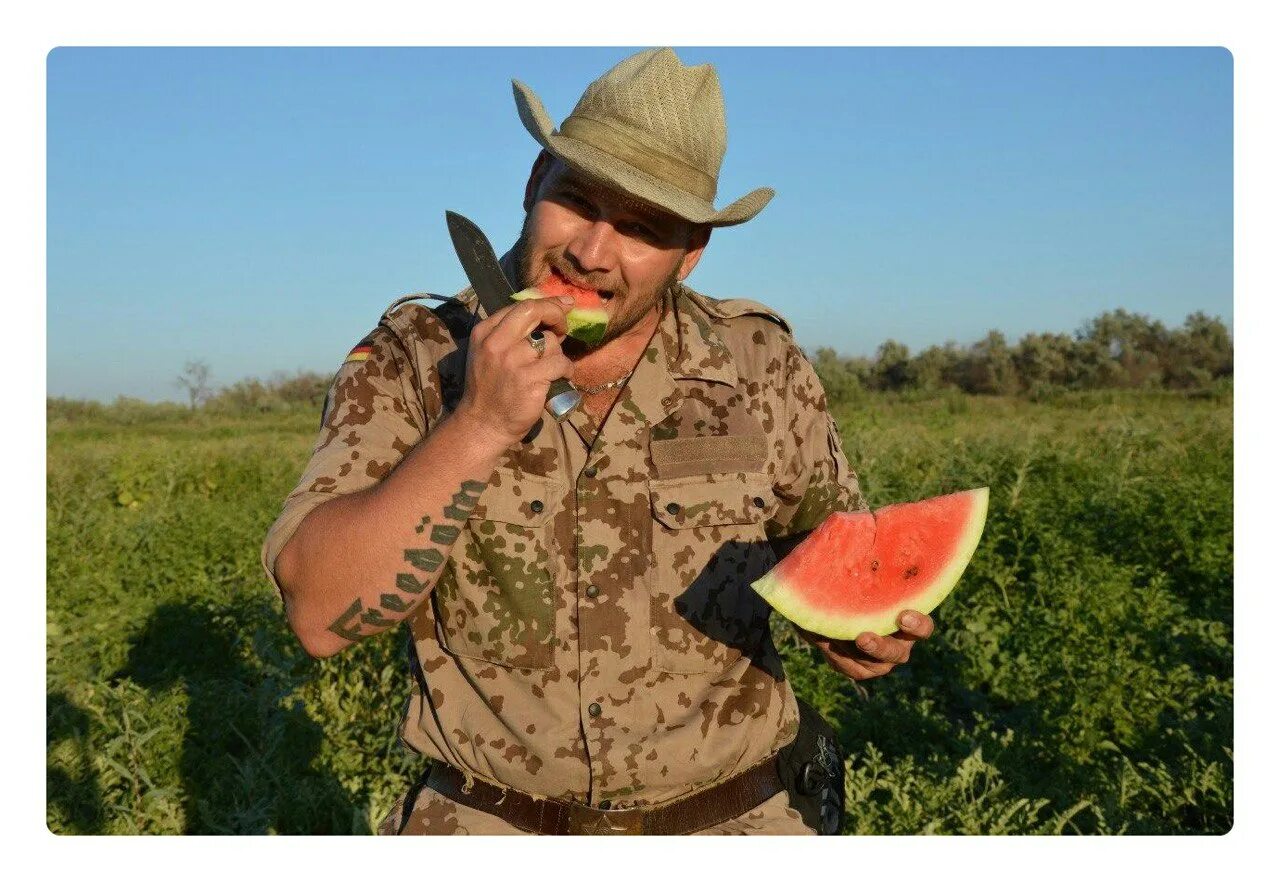 ковбой арбкс. плантация арбузов. арбузная бахча астрахань. дикий арбуз. бахчевые культуры астрахани.