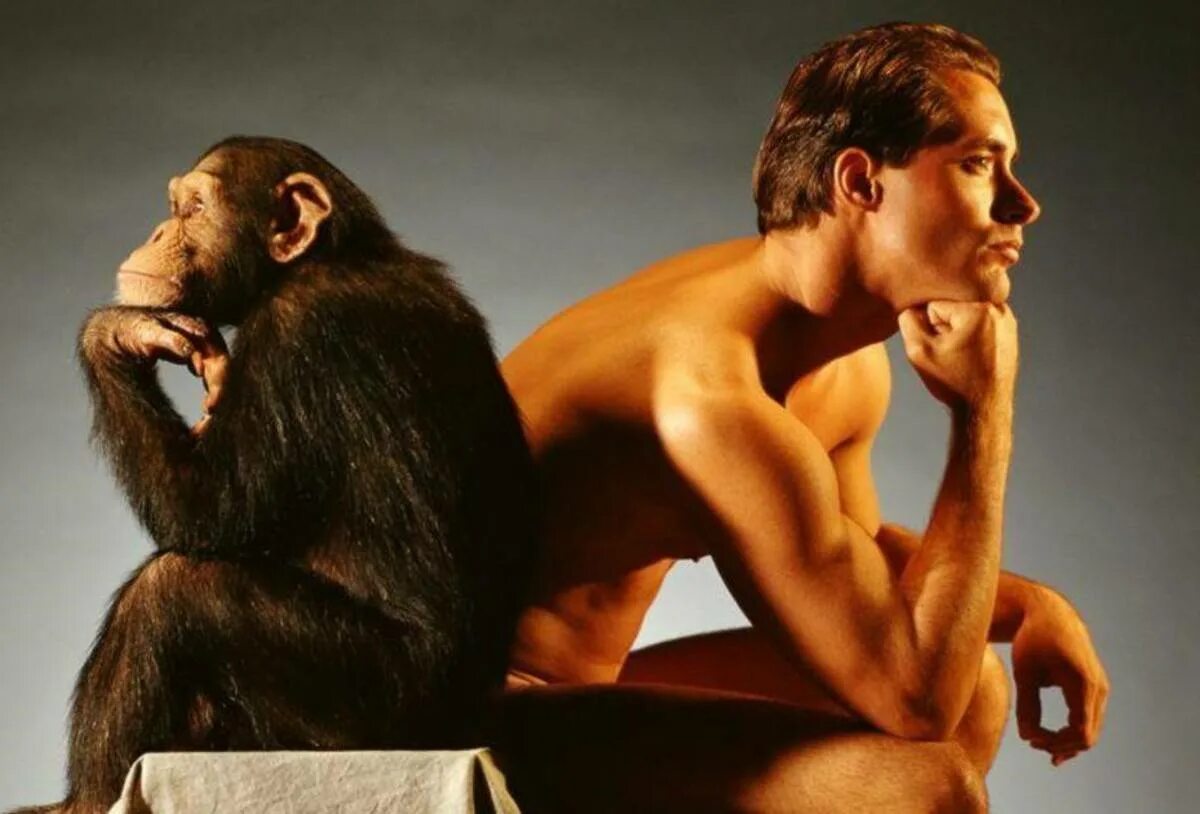 Человек примат. Люди и животные. Мужик обезьяна.
