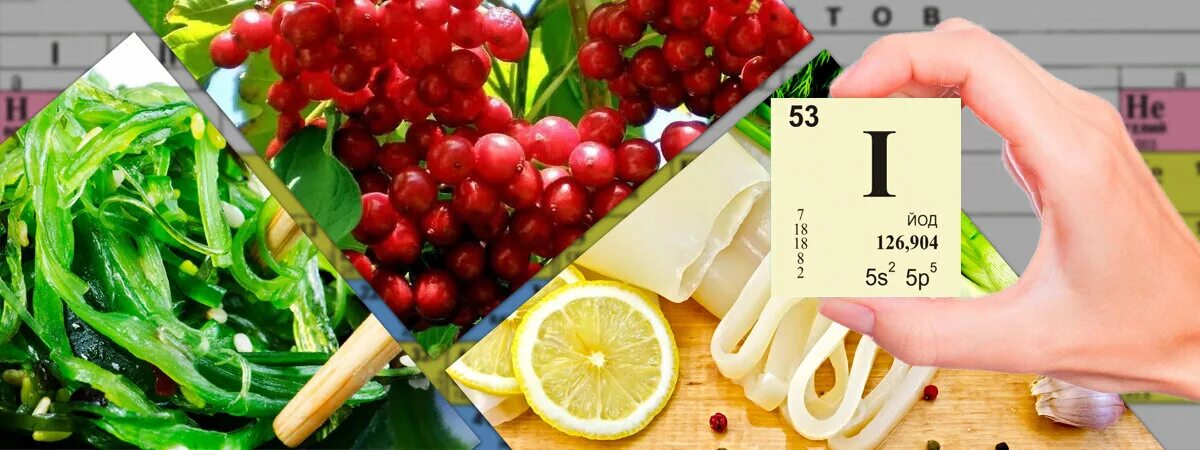 Йод в продуктах питания проект Йод в еде