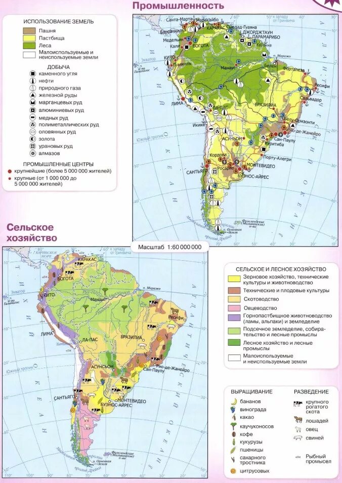 Кк южная америка 7. Атлас 7 класс география Южная Америка. Атлас 7 класс география Южная Америка природные зоны. Сельское хозяйство Латинской Америки карта. Южная Америка природные зоны атлас 7 класс.