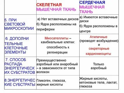 Отличие сердечной мышечной ткани от скелетной