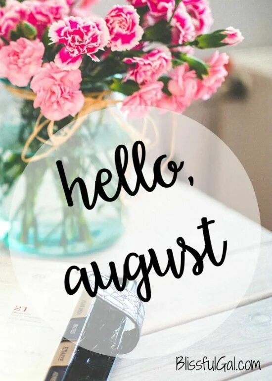 Hello August картинки. Hello August картинки красивые. Hello August обои. Hello August венки.