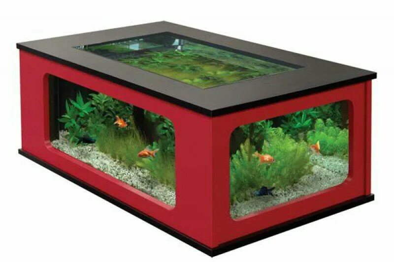 Панорамный аквариум фото. Аквариум нижний новгород. Аквариум в стиле ada. Г образный аквариум. Аквариумы карте.