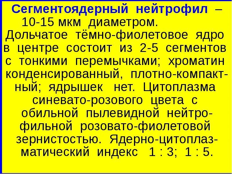 Сегментоядерные нейтрофилы 10