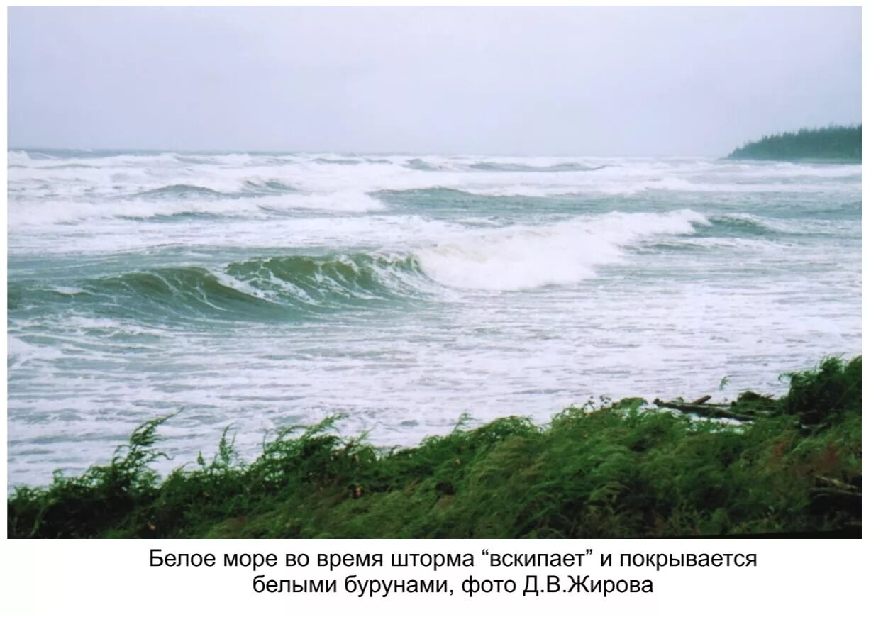 Море шторм. Шторм на белом море. Белое море волны. Волны на берегу белого моря. Погода в архангельске норвежский прогноз русском сайт