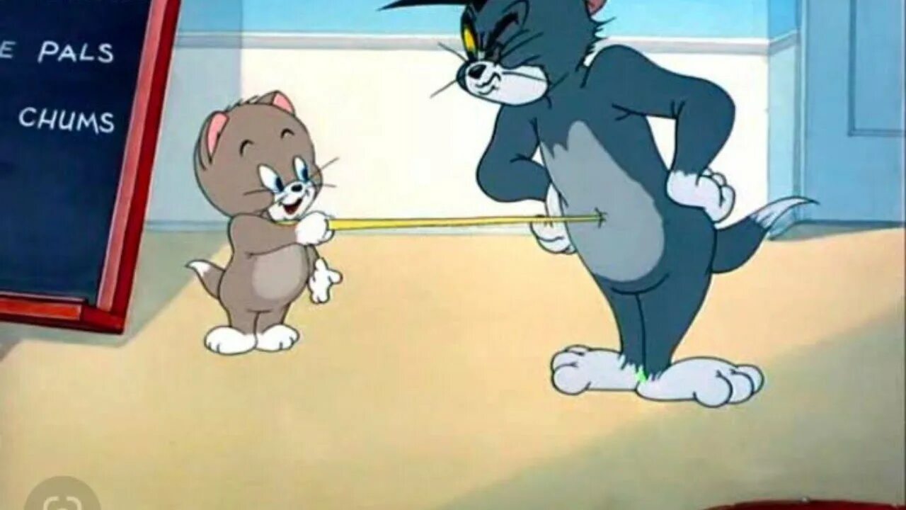 Тома маленькая и другая тома. Том и Джерри профессор том. Professor Tom 1948. Том котенок из том и Джерри. Маленький том.