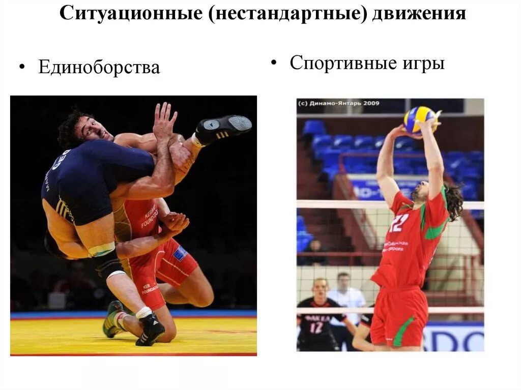 К какому виду движения относится. К какому виду движения относится