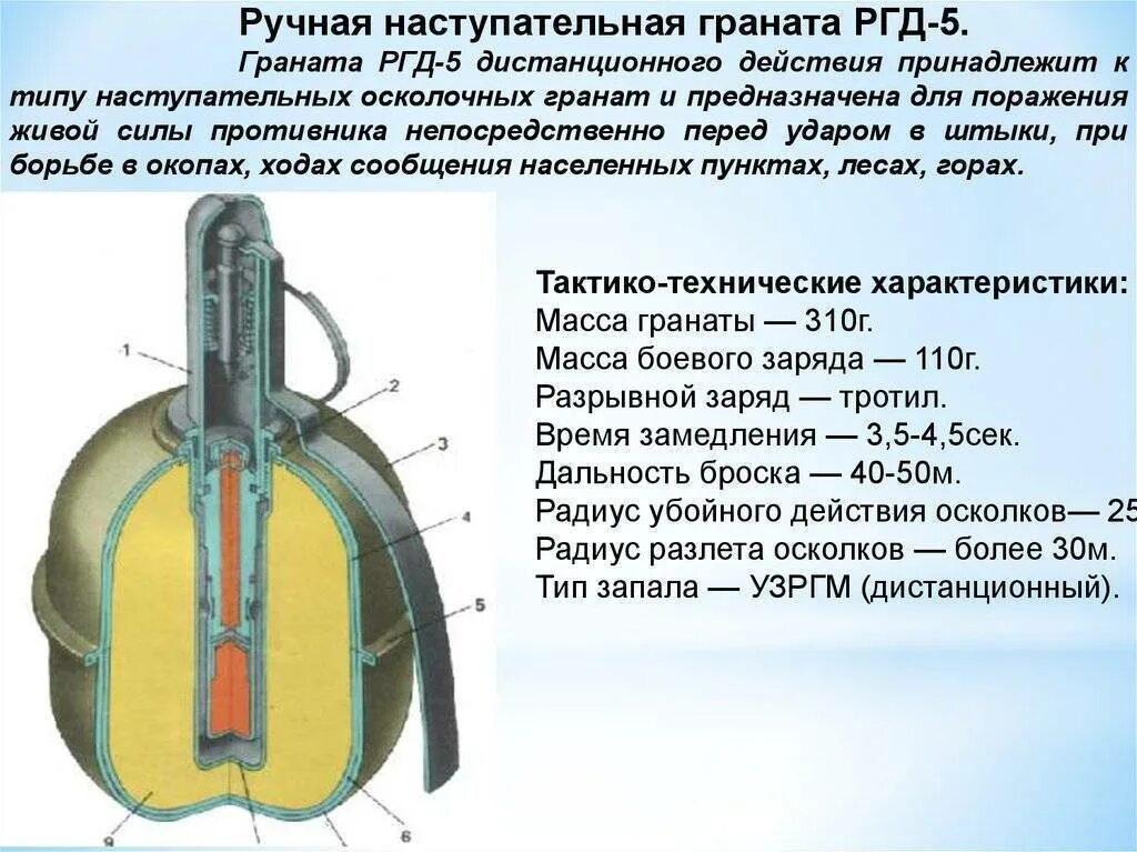Устройство ручной гранаты ф 1. Устройство ручной осколочной гранаты ргд-5. устройство гранаты ргд 5 и ф1. устройство ручных осколочных гранат ргд 5. устройство ручных осколочных гранат ргд-5 и ф-1.