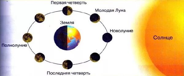 Луна и солнце относительно земли. Схема движения земли и Луны вокруг солнца. Луна земля солнце схема движения. Фазы Луны относительно солнца. Положение Луны относительно земли и солнца.