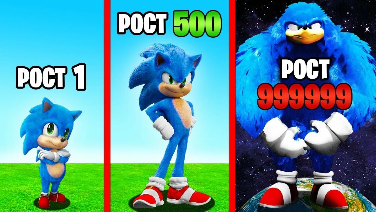 Соник бум 2д. Рост соника. Ёж соник. Рост соника. Ёж соник 3.