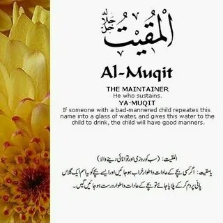 Wedding от muhammad al muqit