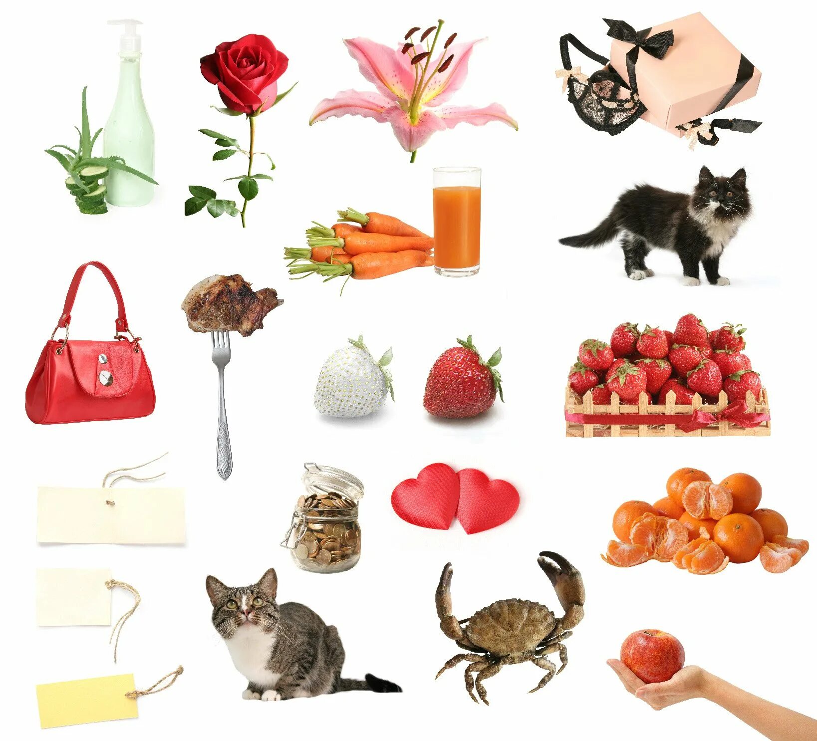 Маленькие рисунки цветные. Других предметов в некоторых. Карточки с группами предметов для детей. Других предметов в некоторых. Других предметов в некоторых.