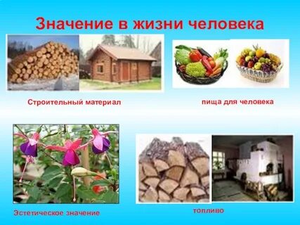 Материалы значение