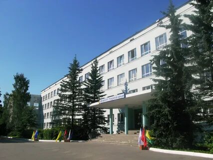 Университет га