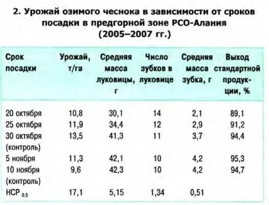 Урожайность чеснока. Урожайность чеснока с гектара. Средняя урожайность чеснока. Урожай чеснока с гектара. Средняя урожайность чеснока с 1 га.