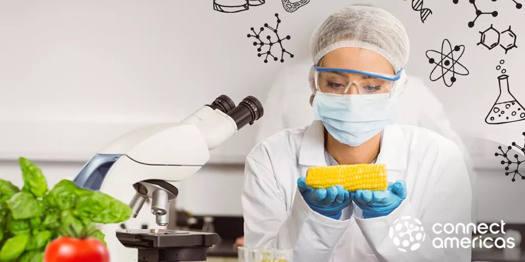 Научные достижения в области пищевых биотехнологий. Нанотехнологии в биотехнологии. Нанотехнологии в пищевой промышленности. Пищевая биотехнология. Наноматериалы в пищевой промышленности.