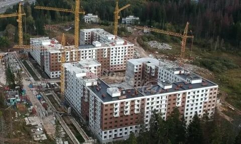 Елино московская обл