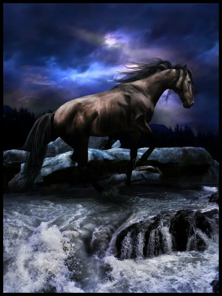 Конь авторы музыки и слов. Ночная лошадь. Лошадь ночью. В ночное на лошадях. Живые лошади.