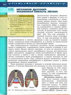 Читать учебник по биологии 8 класс пасечник